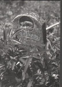 Victorian tombstone with lamb