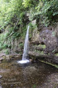 A Visit to Falling Spring in the Ozarks - The Accidental Ozarkian