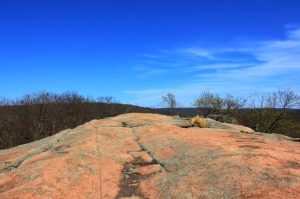 Elephant Rock edge