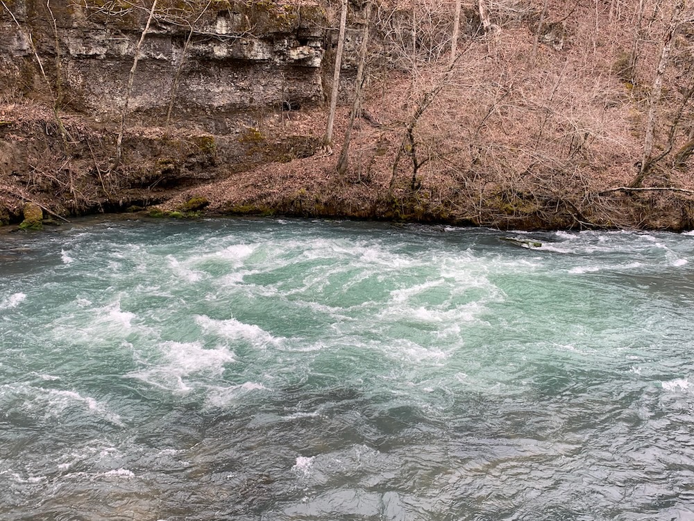 Greer Spring swell